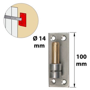 Gond Sur Platine Inox Brossé, Dia. 14 X Ht.100 Mm