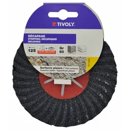 Disque Ébarbage Semi-Rigide Pour Matériaux Tivoly Grain 80, Diam.125 Mm