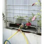 Adaptateur de cuve 1000L diam. 60 mm, femelle,  20 x 27, BOUTTE