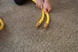 Raccord Automatique Boutte