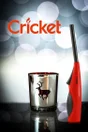 Briquet allume gaz Firepower CRICKET