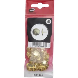 Punaises Acier, Standers Tête Ronde, Diam.1 X L.8 Mm