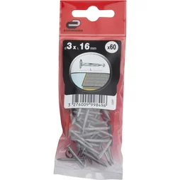 Clous Spécial Toitures Acier, Standers Grand Appartement, Diam.3 X L.16 Mm