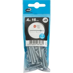 Lot de 20 boulons poêlier en inox, STANDERS, L.16.0 x diam. 4 mm