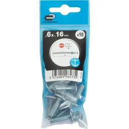 Lot de 10 boulons poêlier en inox, STANDERS, L.16.0 x diam. 6 mm