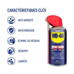 Lubrifiant multifonction en aérosol, WD-40, 250 ml