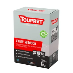 Enduit De Rebouchage Toupret Extra Rebouch 1 Kg En Poudre, Pour Mur / Plafond In