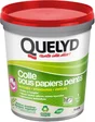 Colle pâte tous papiers peints QUELYD, 1 kg