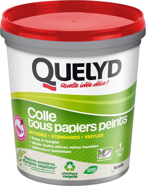 Colle pâte tous papiers peints QUELYD, 1 kg