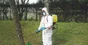Combinaison phytosanitaire 3M, blanc taille XL
