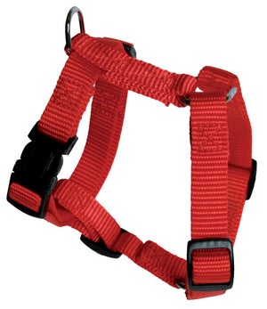 Harnais chien réglable nylon 30/45 cm rouge
