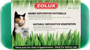 Herbe à chat dépurative naturelle ZOLUX 250g
