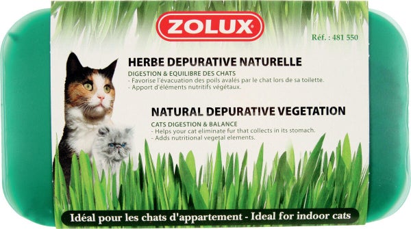 Herbe à chat dépurative naturelle ZOLUX 250g