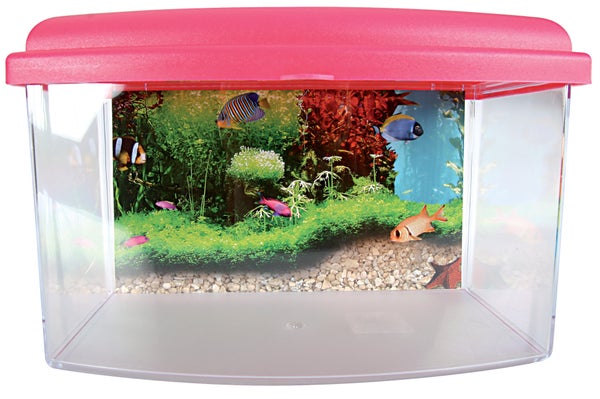 Boîte de transport poisson aqua travel box ii medium 28x17x20cm