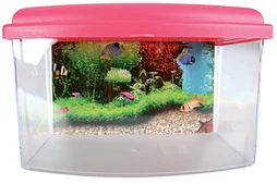 Boîte de transport poisson aqua travel box ii medium 28x17x20cm