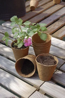 24 Pots Ronds Fibre De Bois Et Tourbe Nortene