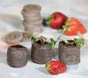 25 Pastilles En Tourbe Nortene