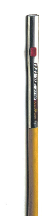 Manche à main Multistar OUTILS WOLF