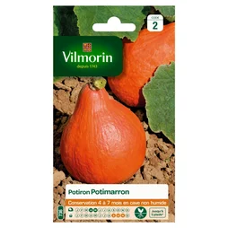 Potiron Potimarron Vilmorin 3 G