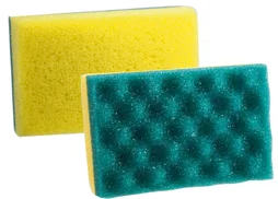 Eponge auto biface souple / grattante spécial salissure / insecte CARLINEA