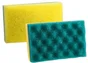 Eponge auto biface souple / grattante spécial salissure / insecte CARLINEA