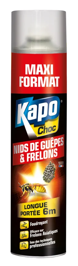 Anti guêpe frelon foudroyant aérosol 600 ml gratuit KAPO CHOC
