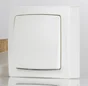 Interrupteur Va-Et-Vient Saillie Complet, Legrand Asl, Blanc