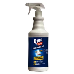 Pulvérisateur insecticide pour tous insectes, KAPO, 1 L