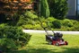 Scarificateur à essence MTD Optima 35vo, 137 cm³, 2400 W