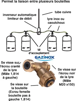 Inverseur Automatique Pour Gaz Propane 1Ère Détente, Gazinox