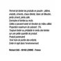 Pigment Poudre Malle Aux Couleurs Noir De Fumée 250 Ml