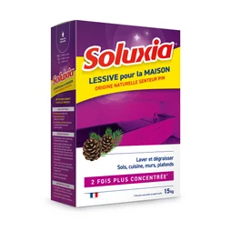 Lessive Gros Travaux Résine De Pin Soluxia, Étui 1,5 Kg