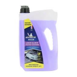 LAVE-GLACE HIVER -20°C 4L MICHELIN EXPERT