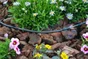 Lot de 10 goutteurs réglables 0-6 l/h GEOLIA Geo8205-10