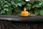 Goutteur Geolia Geo8220-10