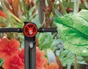 Lot De 10 Goutteurs Geolia Geo8207