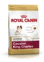 Royal Canin Alimentation Chien Cavkingchar Pup 1.5Kg