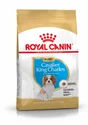 Royal Canin Alimentation Chien Cavkingchar Pup 1.5Kg