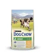 Croquettes dog chow pour chien adulte au poulet, PURINA, 14 kg