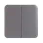 Cache Commande D'Éclairage Double Cosy, Lexman Aluminium Mat