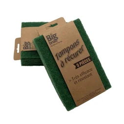 Lot de 5 tampons à récurer