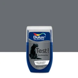 Testeur Peinture Anthracite Satin Crème De Couleur Dulux Valentine 30 Ml