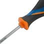 Jeu De 5 Tournevis Mixtes Dexter