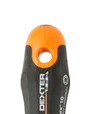 Tournevis Torx T10, L.100 Mm Dexter Pro