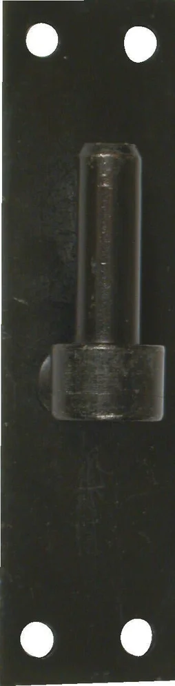 Gond Sur Platine Acier Prépeint, H.120X Diam.16 Mm