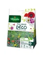 Jachère Coin Utile Au Potager Multicolore