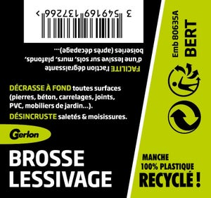 Brosse Lessivage Economique Tampico