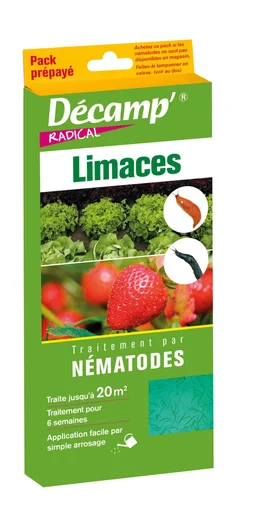 Traitement des insectes par nématode, 6 Millions de nématodes