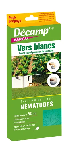 Traitement des insectes vers blancs par nématode, 25 Millions de nématodes