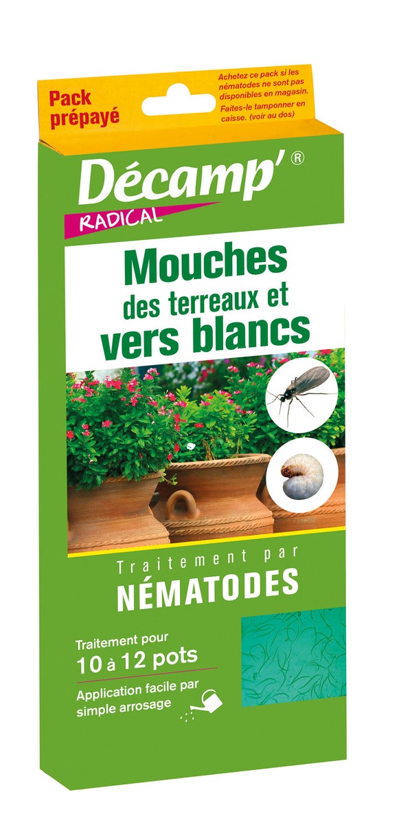 Traitement des insectes vers blancs par nématodes, 1 ou 2 Millions de nématodes